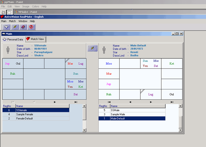 horoscope software data entry gui