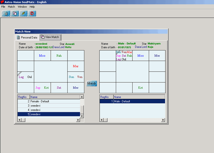 horoscope software data entry gui